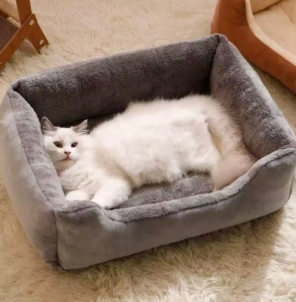 🐾 CozyCave™ Calming Cat Bed

The Warm, Secure Sleep Spot Cats Instantly Fall in Love With

⭐⭐⭐⭐⭐ Loved by Cat Parents Everywhere