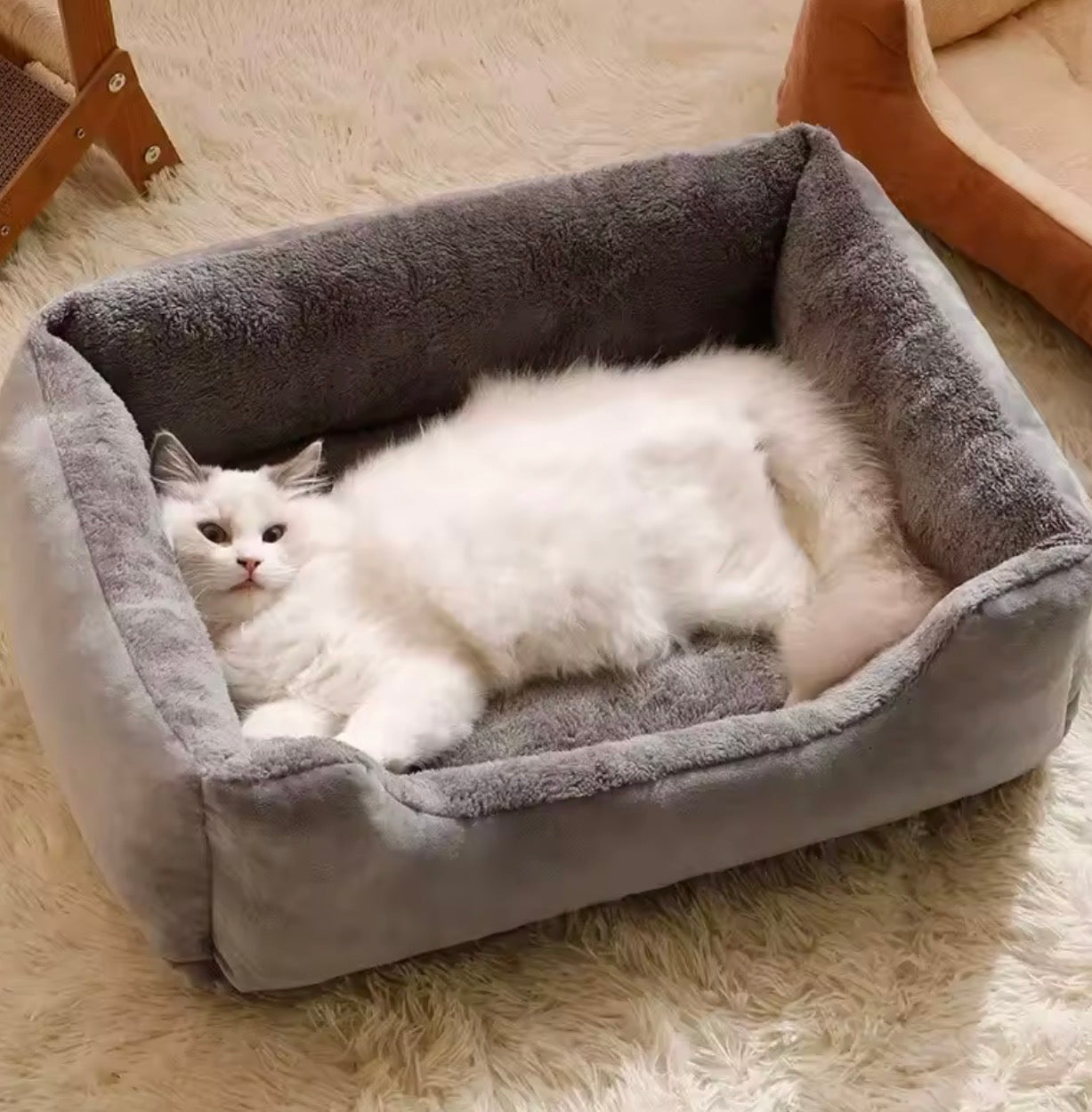 🐾 CozyCave™ Calming Cat Bed

The Warm, Secure Sleep Spot Cats Instantly Fall in Love With

⭐⭐⭐⭐⭐ Loved by Cat Parents Everywhere