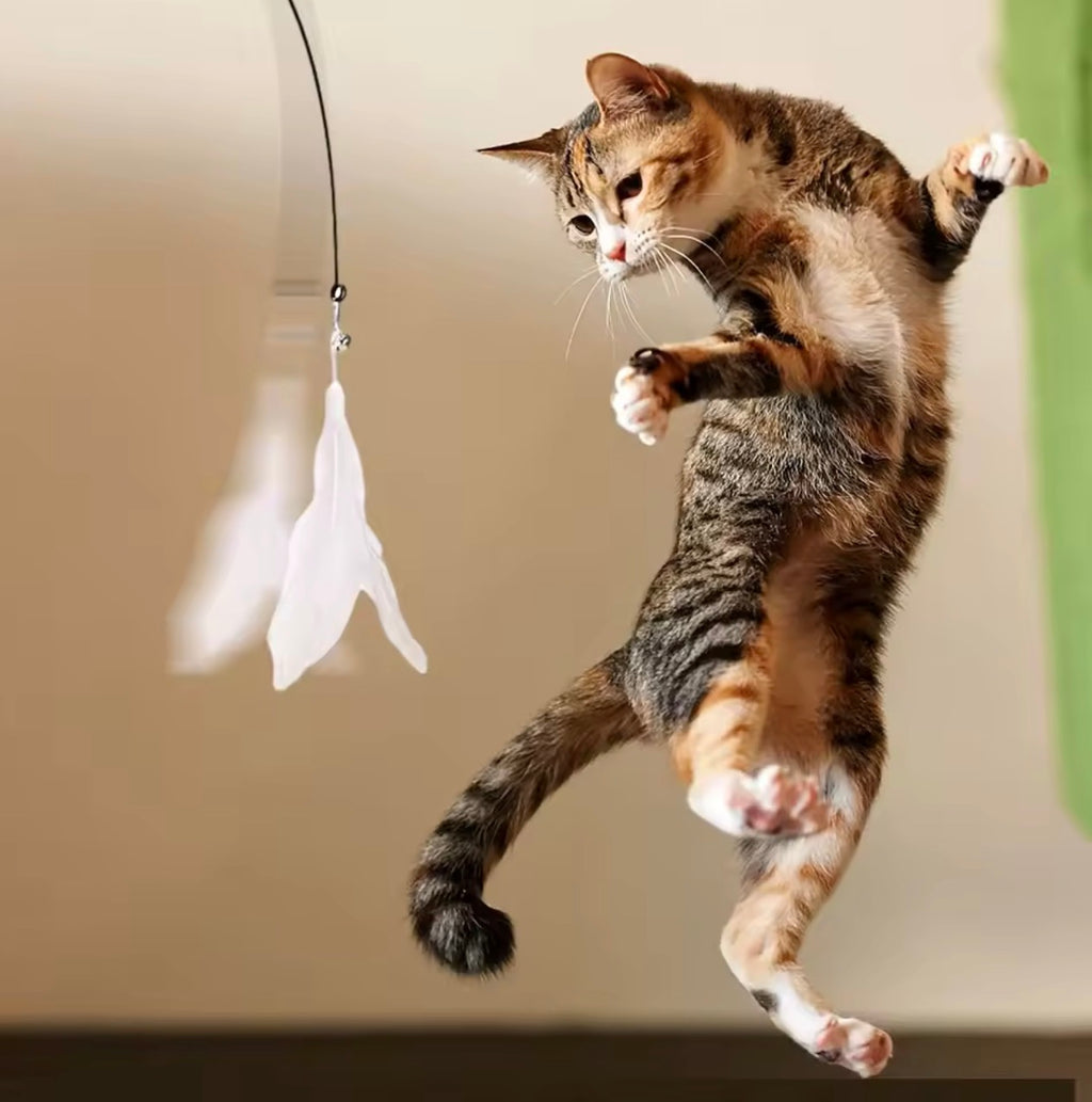 🐱 SuctionPlay™ Interactive Cat Teaser Wand